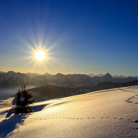 Jaggler By Interhome Апартаменты Вильдшёнау